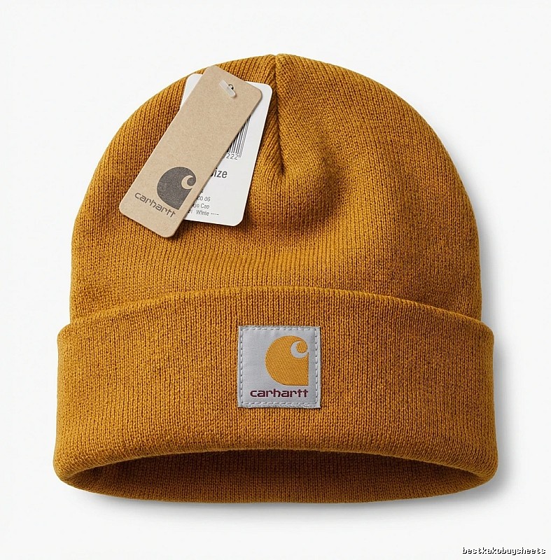 Carhartt solid color minimalist style brown hat