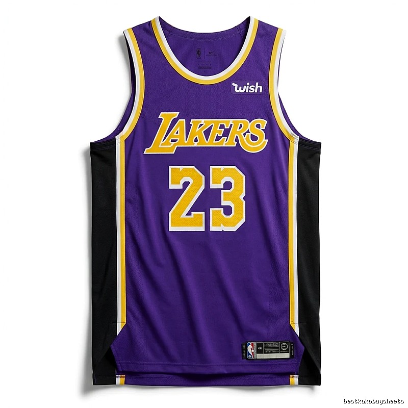LBJ Lakers retro purple jersey