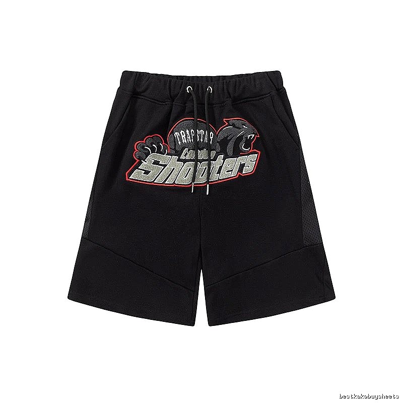 Toronto Raptors Casual Team graphic T-shirt Black Toronto Raptors for Streetwear Looks